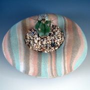 Jo_Connell_Ceramics_enclosed-pebble-form-+-cactus.jpg
